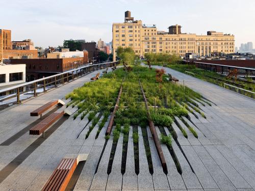 Concrete planks run into the greenery like a comb